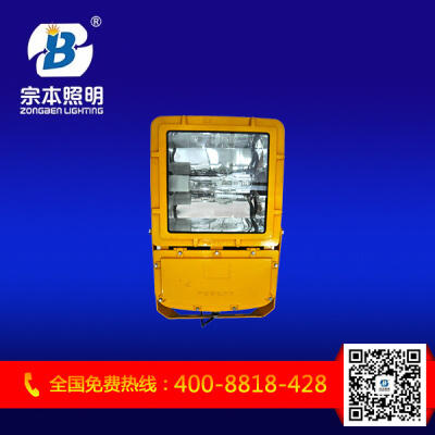 LEDBFC8110/BFC8110/BFC8110