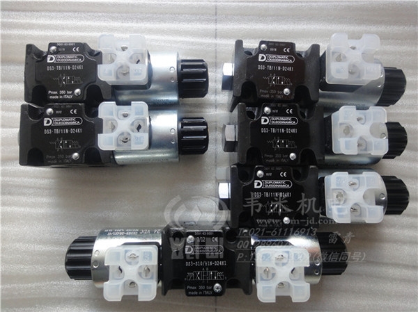 R늴yDS3-S1/11N-D24K1