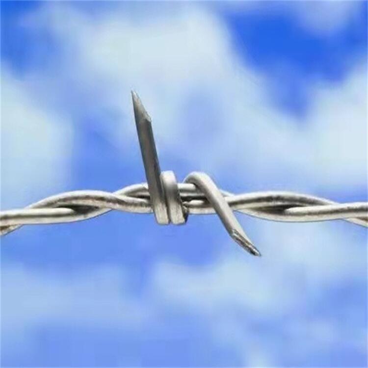 㽭F؛\KSҹ´K䓽zWݹ·BֳھW