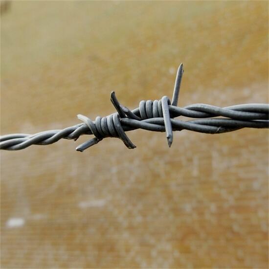 ӱF؛FzxŏSҹʯfKIWݼܴKFzW