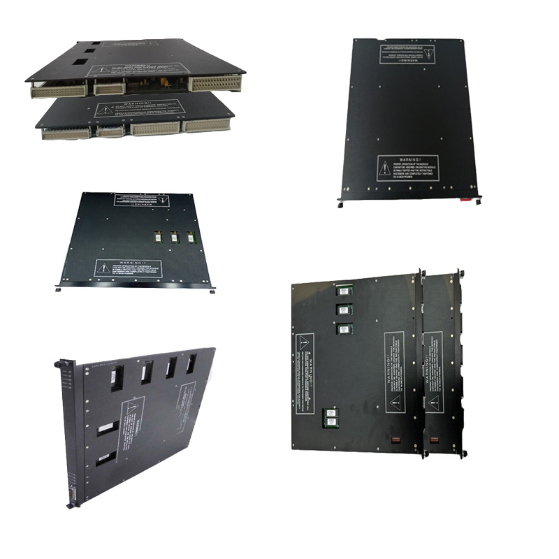 TRICONEX PLM3900N