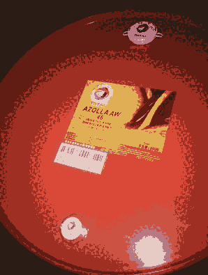 _ҺAW 32̖