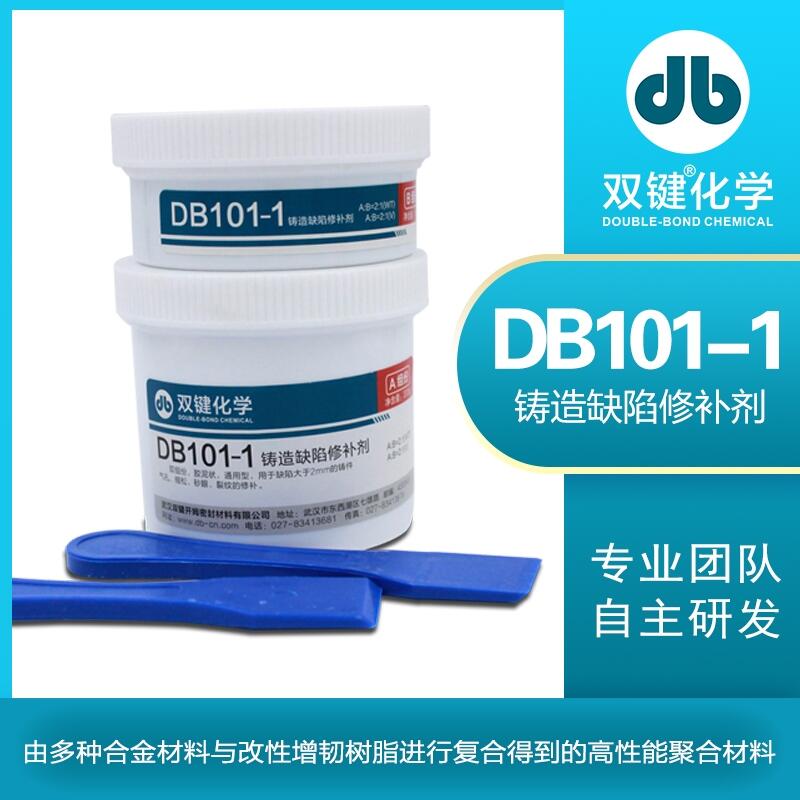 pIS DB101-1ɰѼyޏTzٹITȱa