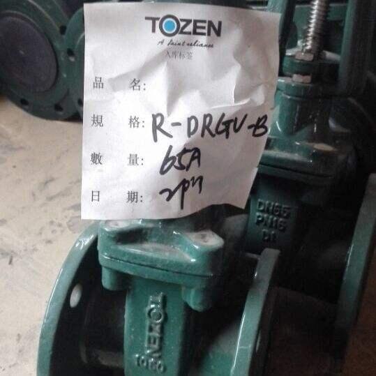 TFly?R-DRGV-B DN50԰UlyTOZENϳܛܷlyƷֱN
