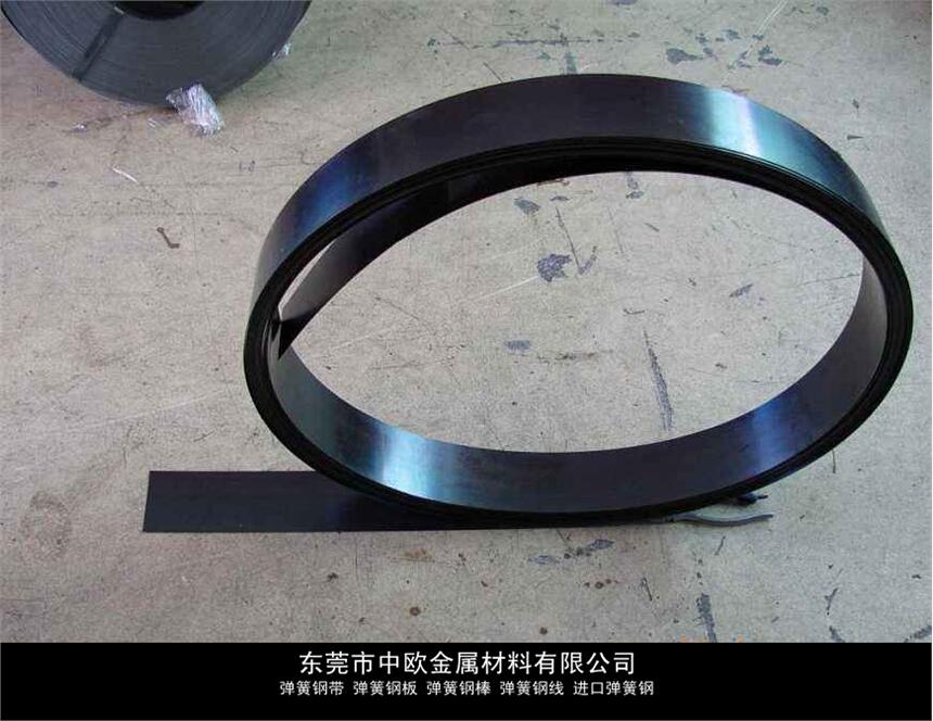 T7A䓎Ƭ100CrMn7̏S҈r