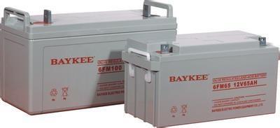 ؿBAYKEE늳6FM100yʽUSoupsԴ12V100AH