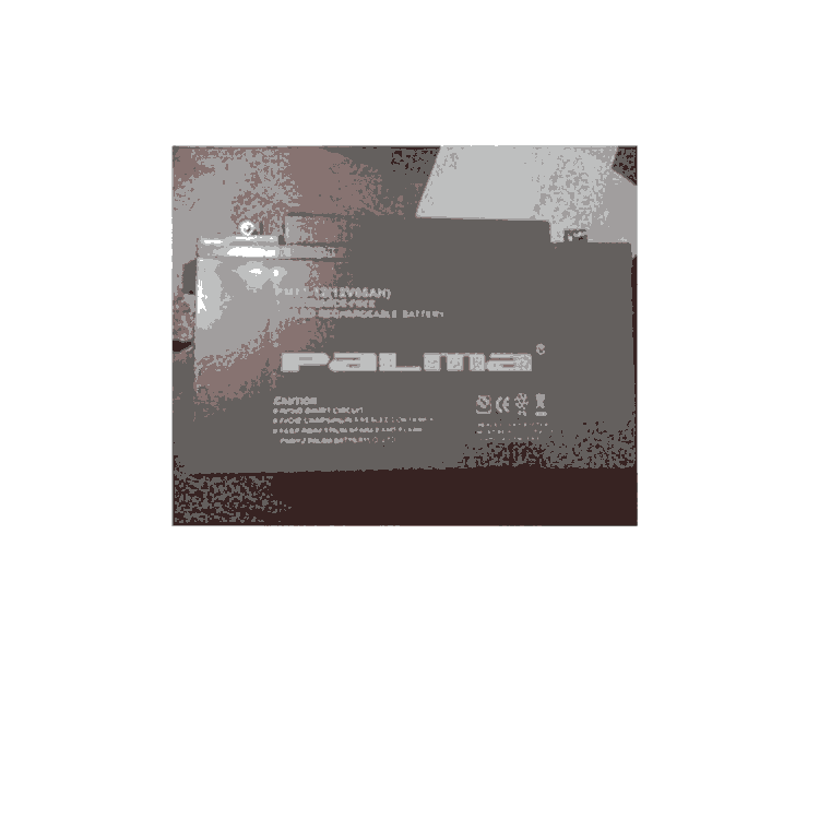 PaLmaR늳PM65-12 12V65AHUyʽSoupsԴ