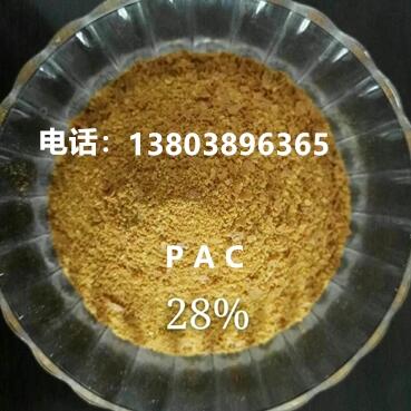 CʡIPACۺȻX