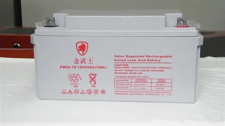 ʿ늳PW65-12 12V65AHg