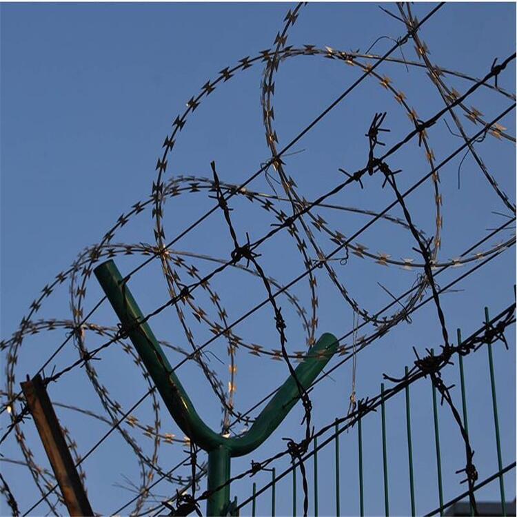 㽭F؛̽zL\Sҹ·IW݇ϵķI̻\