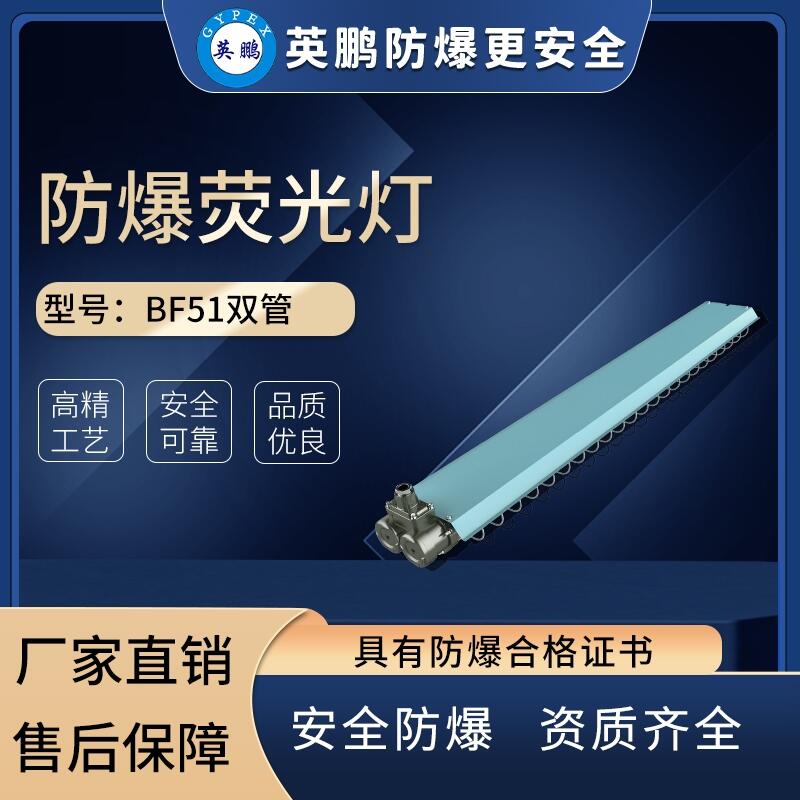ʳƷSɹBF51p