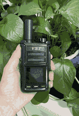vCӹP߄vC1000RȫR