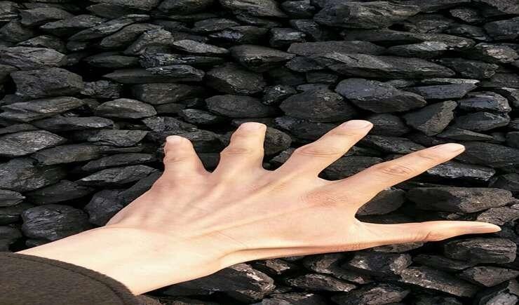 gӭݟoúVϏSֱN