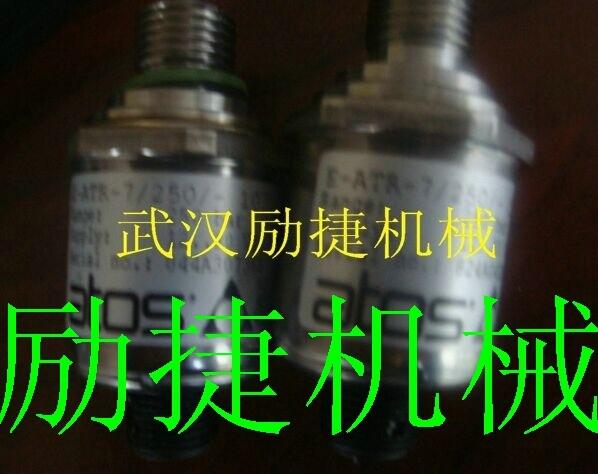 A11VO95LR/10R-NPD12N00֮x