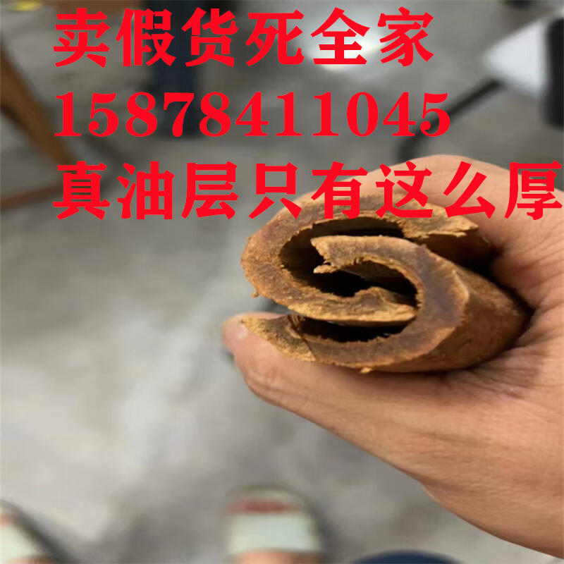ꖅ^Ϙ͹a