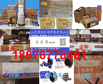 Techalloy 316LP䓺z
