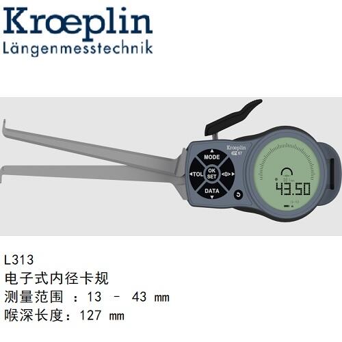 L313ƥkroeplinȿҎL313