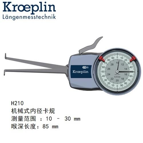 H210ƥkroeplinȿҎH210