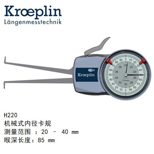 H220ƥkroeplinȿҎH220