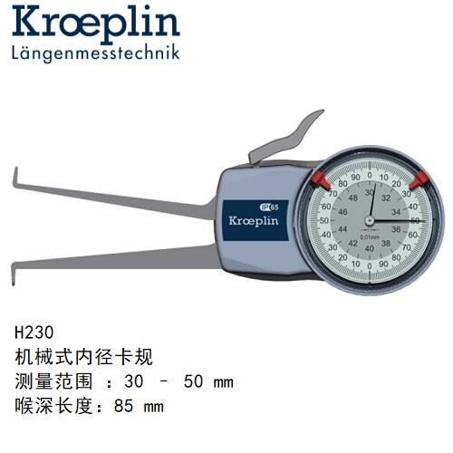 H230ƥkroeplinȿҎH230