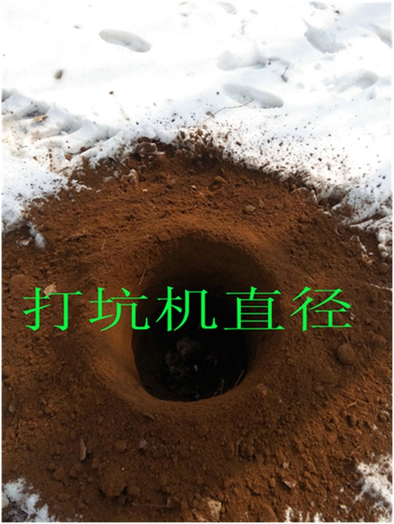 |ě_ʽڿәC ַʽě_̷NڿәCЧʸ