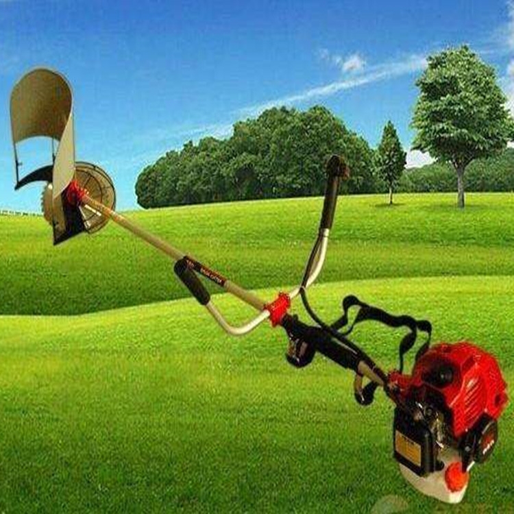 a๦͸ݙC l