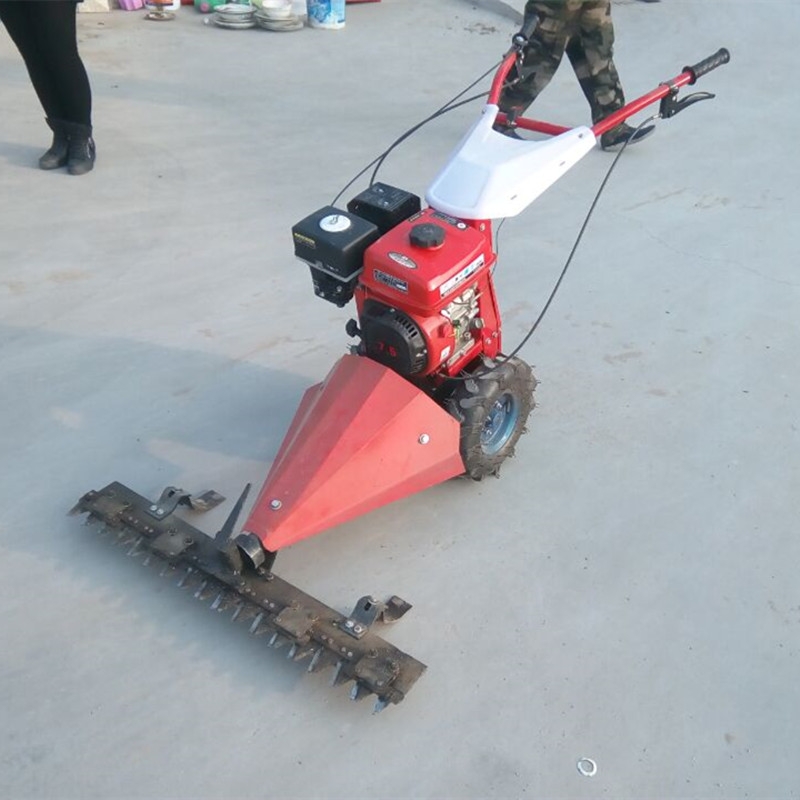 ʽͼݙC ๦ܸݙC