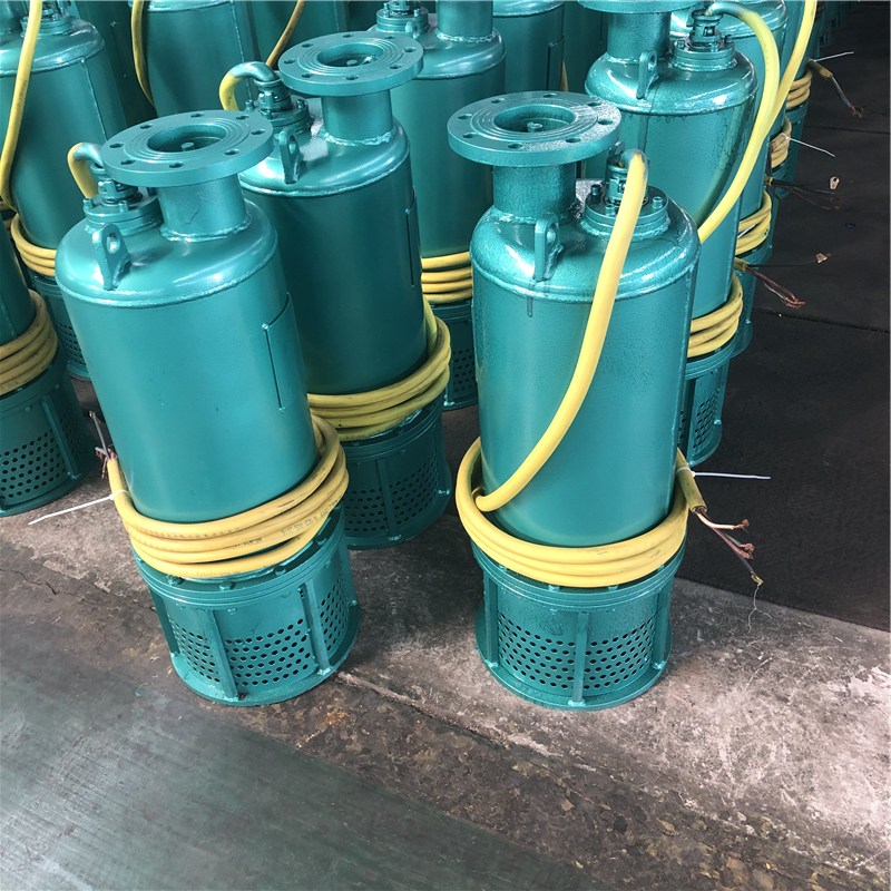 660VV÷ñʩˮˮ۱BQS25-30-5.5kw