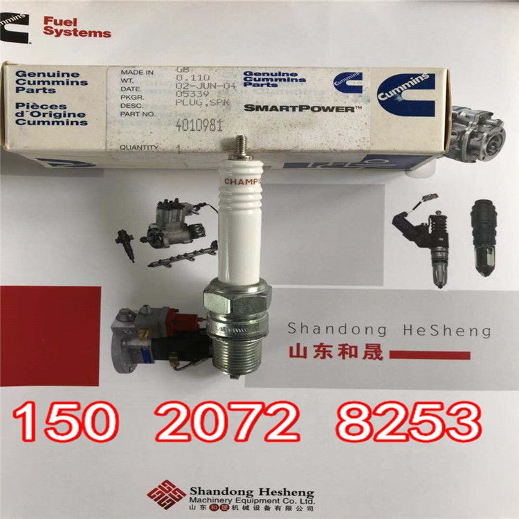 QSV913644455ضȂ4954905