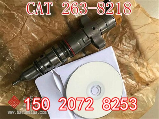 ر793Fǹ·܇250-1311