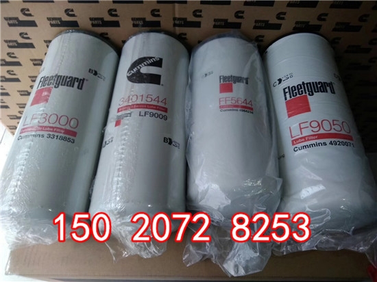 ˹PˮV3100308/WF2075