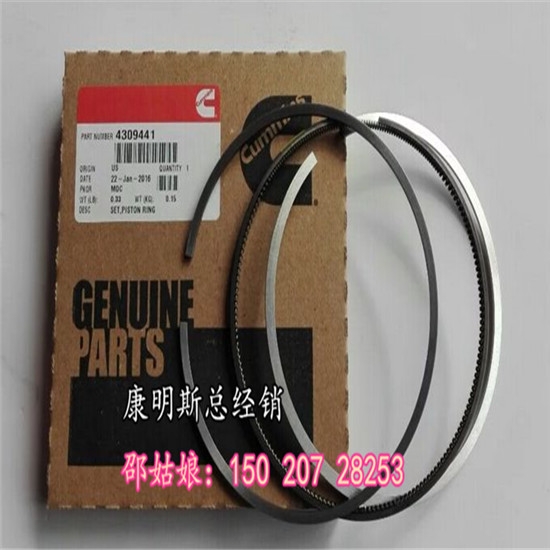 ȫo-칤XS182·Ch4955169