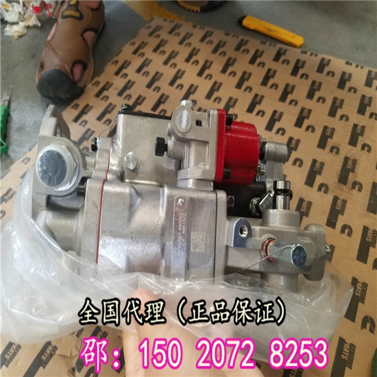 عɶ6C8.3ȼͱ4063536