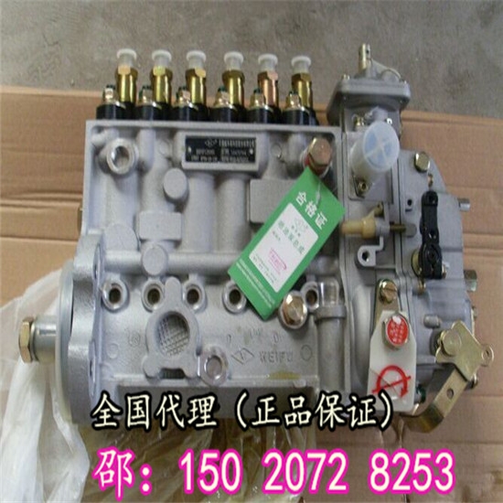 ץ䓙C6BȼͱC4988395
