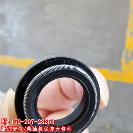 ׿˹TR45QSK19lәC4099093Tͷ-