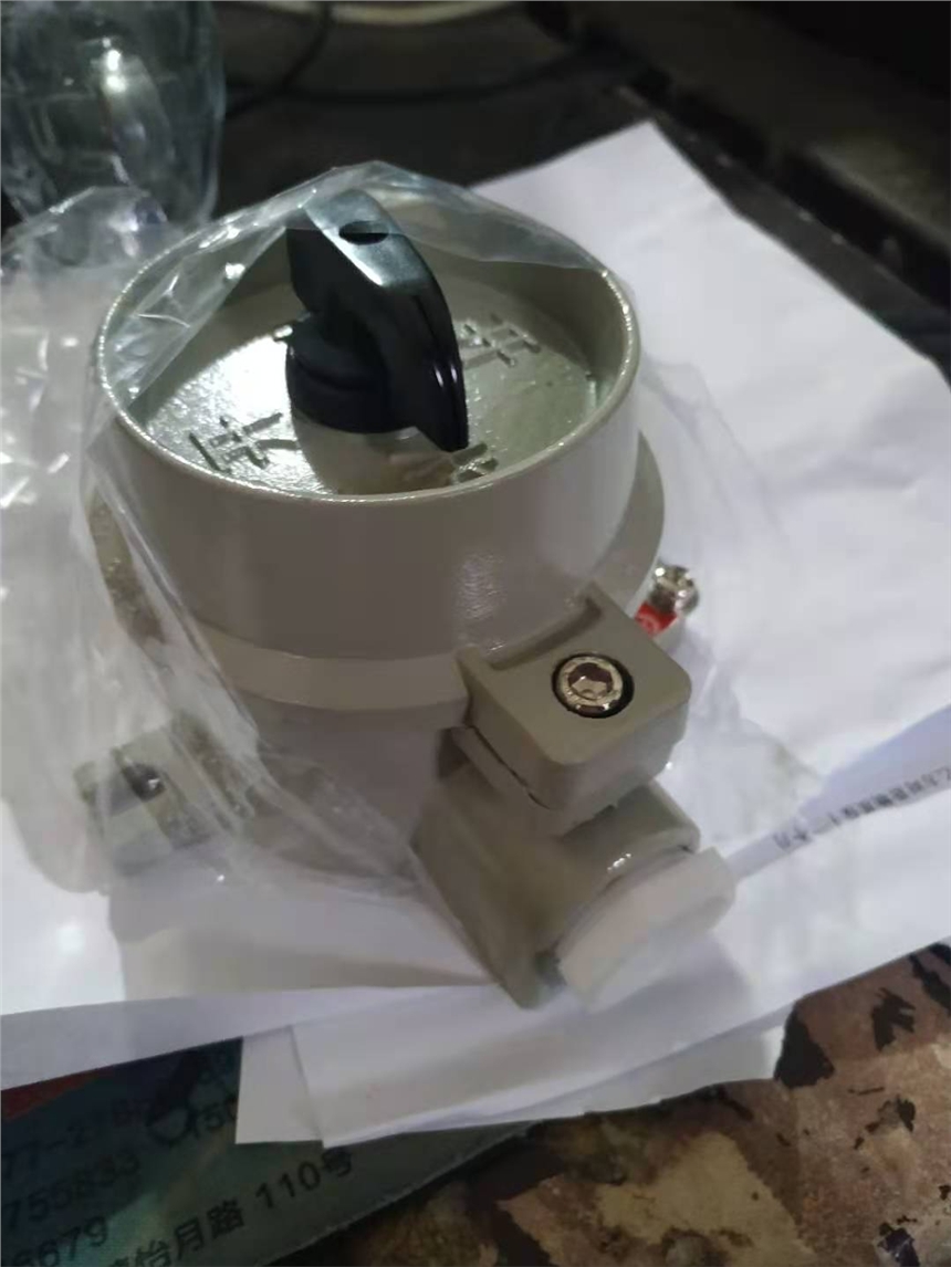 SW-10_P