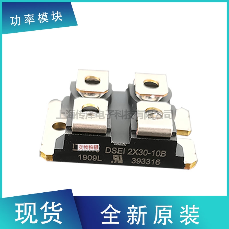 ِ˹OģKDSEI2X30-10B DSEI2X30-12BF؛ֱN