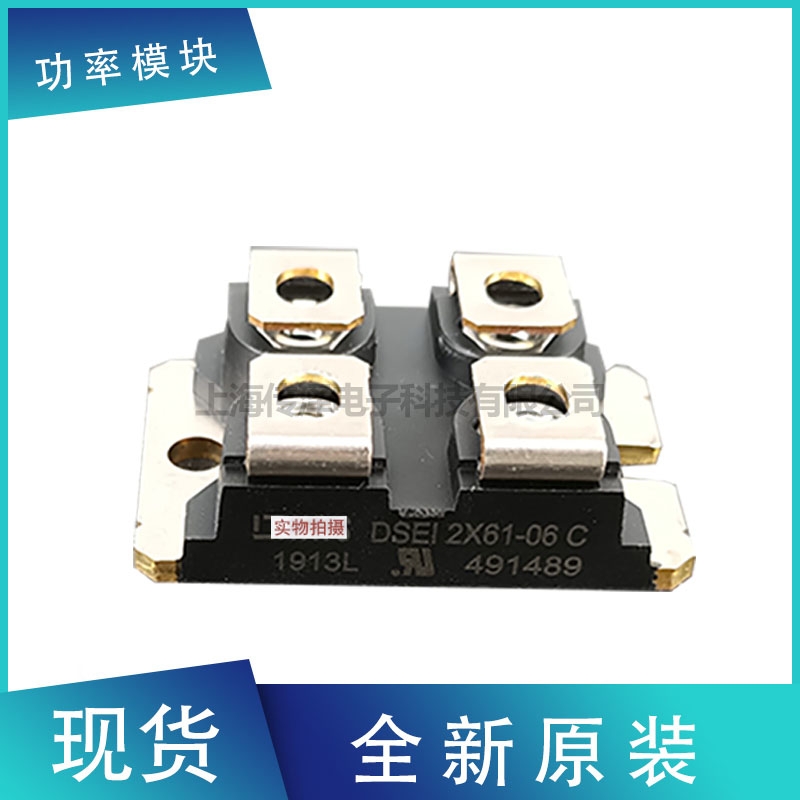 ِ˹OģKDSEI2X61-06C DSEI2X61-10BF؛ֱN