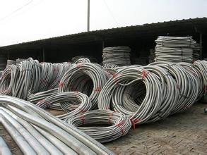 304P䓽ܛaS