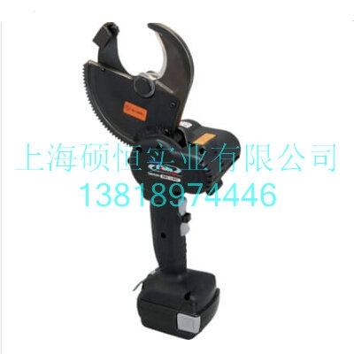 REC-Li50Y  ʽҺеձ Izumi