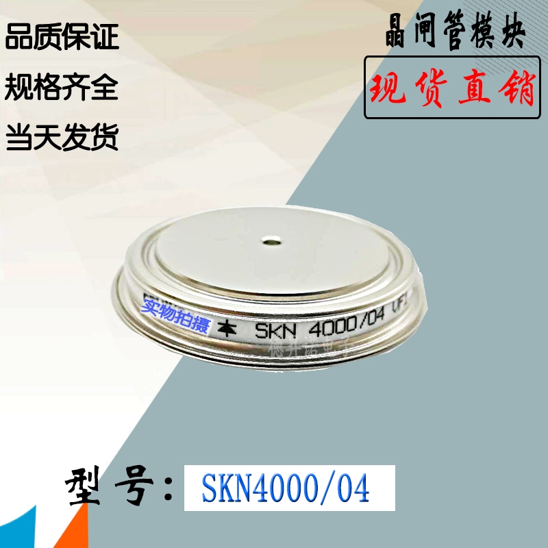 SKN4000/06 SKN6000/02ȫֱNTʾlģK