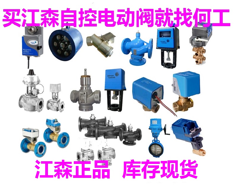 VF3481PS2-Cjohnsoncontrols늄yN