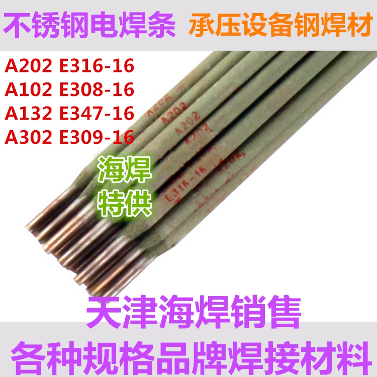 A202l E316-16P䓺l2.5/3.2/4.0/5.0mm