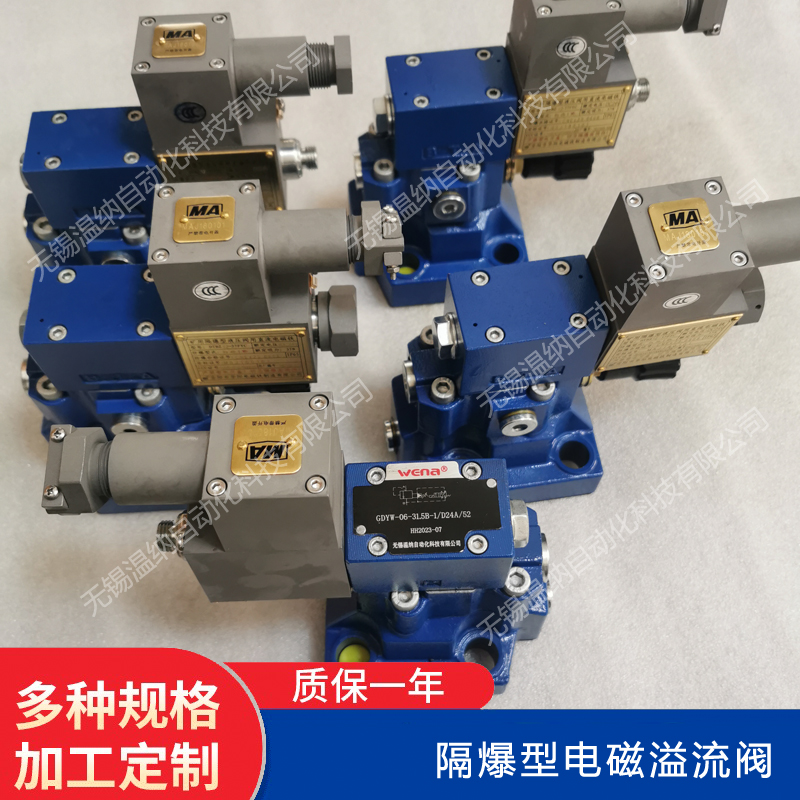 GDYW-06-31.5B-1/D24C  늴y