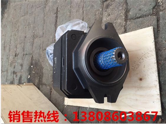 IPVP6-80-601 lr