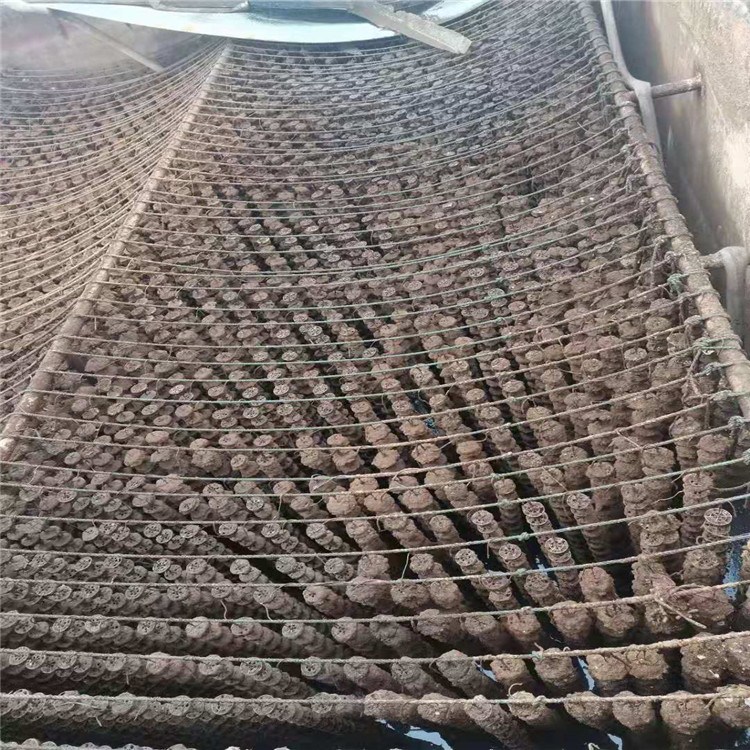 dIˮϵԒ