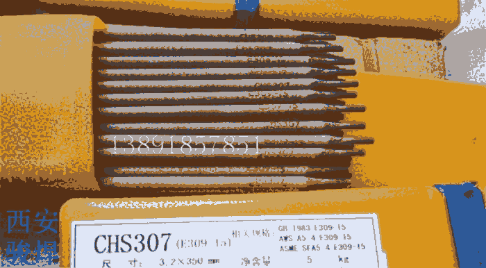 CHS307t䓣iE309-15P䓺l