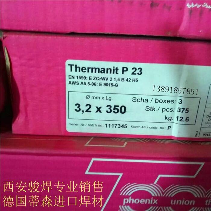 ɭThermanit P23lE9018-Gl T23P23l