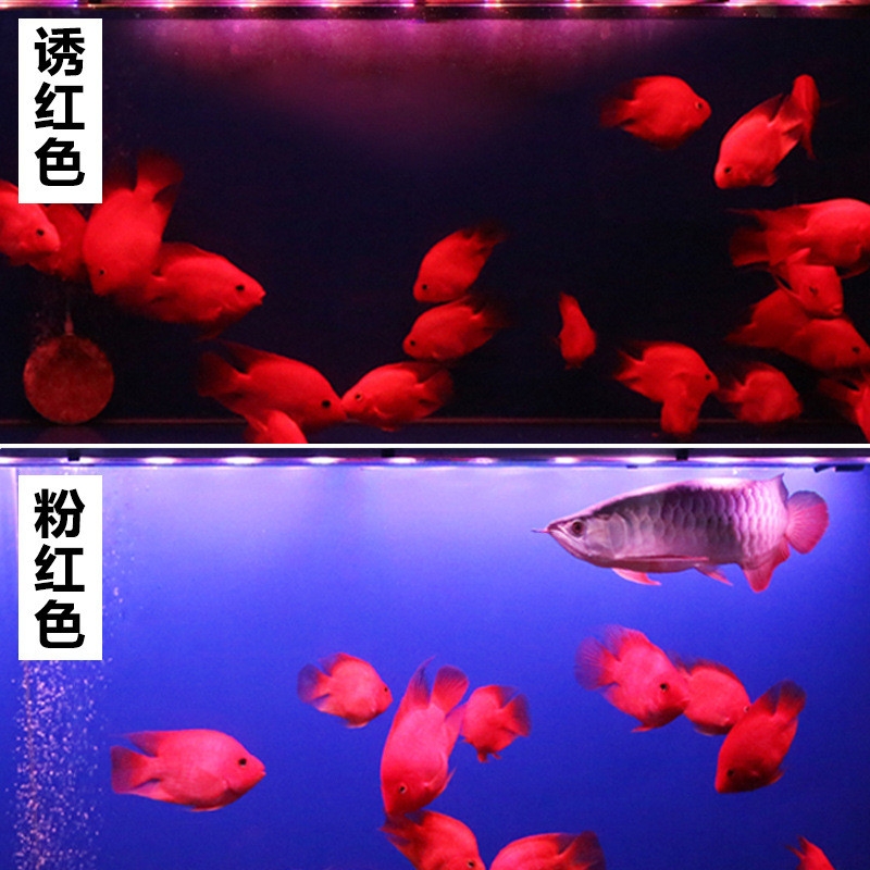 Ϻ܎I坍~~o~~ؾS