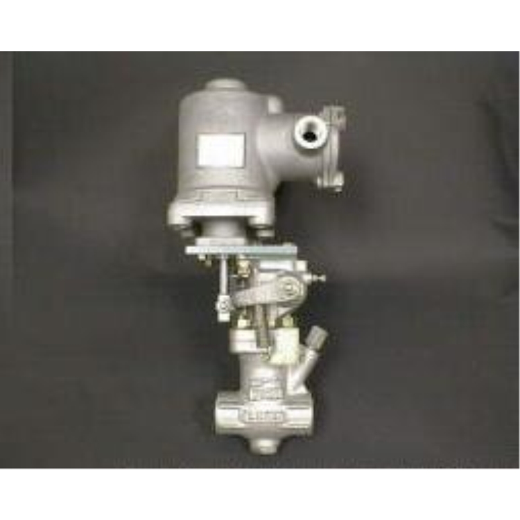 KANEKOӷ늴yM30 C20CAE44-SS